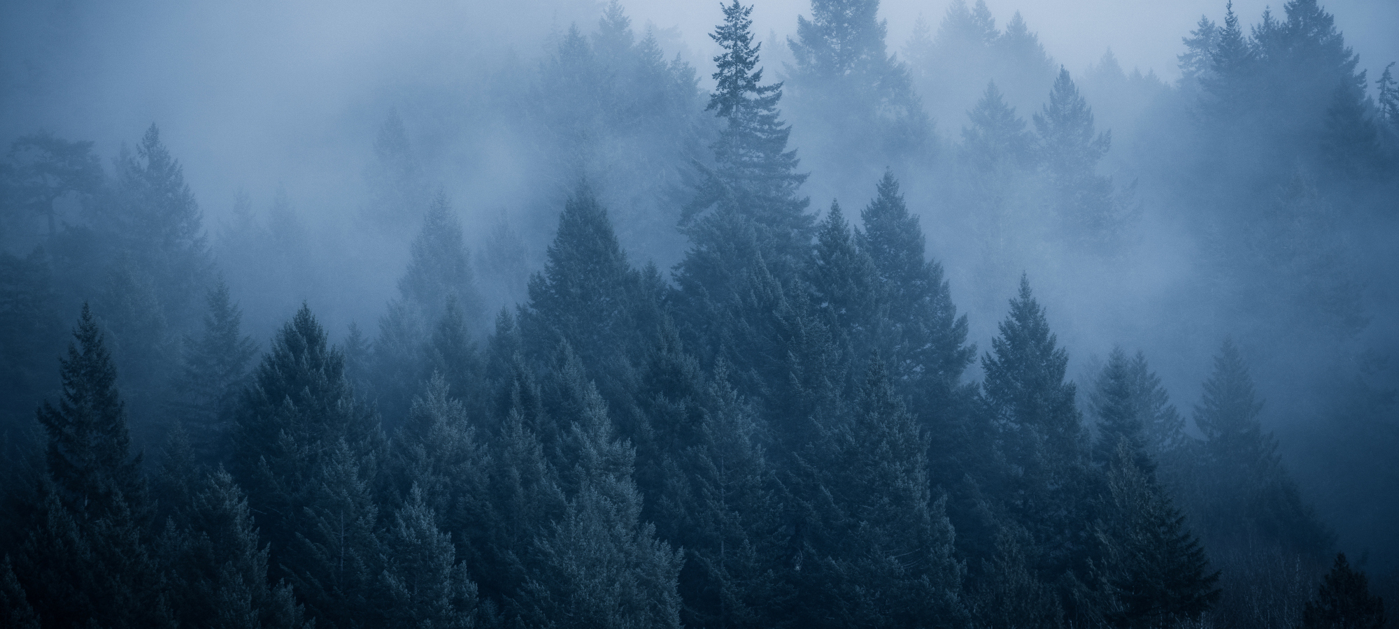 Kütte- ja ehituslahendused, mis hoiavad loodust ja loovad hubasust